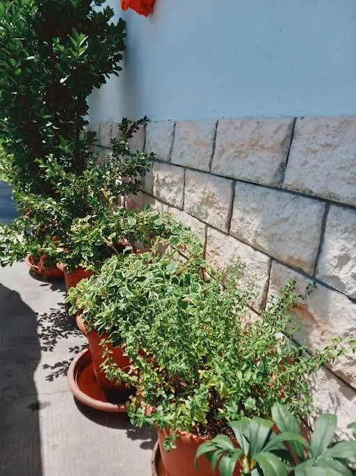La Corte Di Mami Free Parking Apartment Gallarate