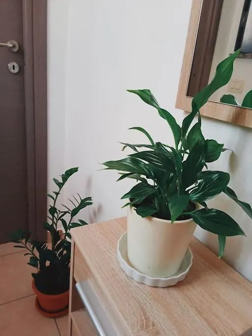 La Corte Di Mami Free Parking Apartment Gallarate